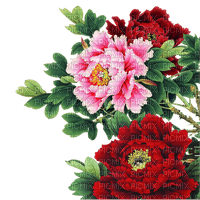 blommor--flowers - nemokama png