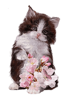 loly33 chat fleur aquarelle - gratis png