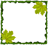 Autumn-frame-cadre feuilles automne