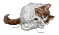 chaton et chausson - PNG gratuit