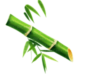 bamboo / fountain - PNG gratuit