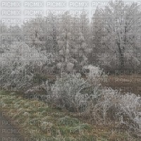 mróz,  Frost,Background. - 無料png