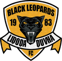 GIANNIS TOUROUNTZAN - Black Leopards - ilmainen png