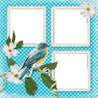 flower fleur blossom fond background blumen spring printemps   overlay frame cadre rahmen tube blue bird oiseaux - GIF animasi gratis