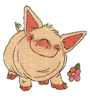 MMarcia gif  porco fofo  cute pig - Besplatni animirani GIF