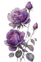 roses mauves - бесплатно png