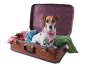 travel pets bp - 免费PNG