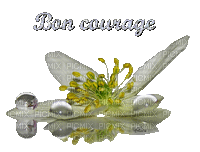 bon courage - Безплатен анимиран GIF