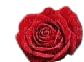 róża - бесплатно png