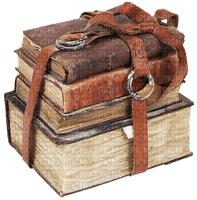 Books brown - Bogusia - gratis png