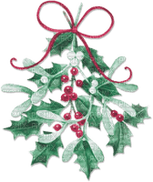 soave deco winter christmas  branch holly - 無料png