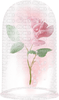dolceluna deco glass pink spring fantasy rose - png gratis