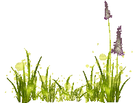 Трава - GIF animé gratuit