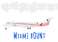 Miami Beach Florida - 無料のアニメーション GIF