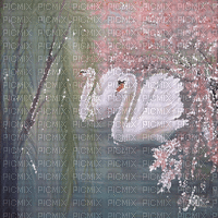 dolceluna flowers spring background swan - 無料のアニメーション GIF
