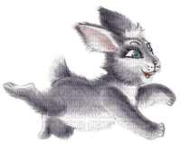 cecily-lapin dessin - darmowe png