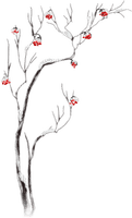 soave deco tree branch winter black white red - PNG gratuit