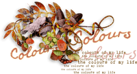 loly33 texte color autumn - PNG gratuit