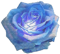 rose bleu - Gratis animerad GIF