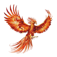 phoenix - png gratuito