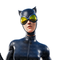 catwoman - 免费PNG
