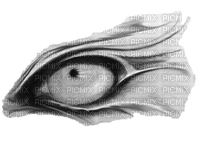 drag eye white - PNG gratuit