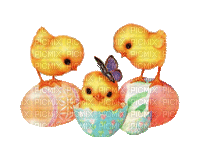 chicken easter gif egg poulet pâques oeuf