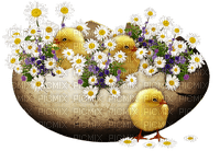 Easter - png gratuito