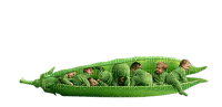 peas in a pod - ücretsiz png