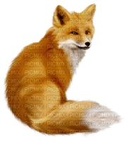 Vos 🦊 - 免费PNG