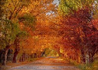 autumn background - besplatni png