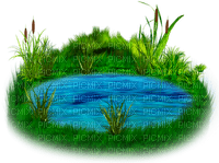 Pond.Water.Grass.Cattails.Blue.Green.Brown - gratis png
