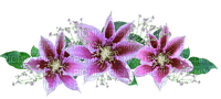 kukka fleur flower - 免费PNG