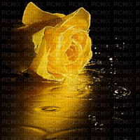 roses yellow water gif jaune rose eau - Darmowy animowany GIF