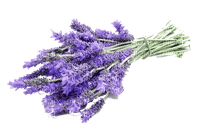 Lavender bouquet - nemokama png