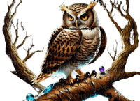 owl - zdarma png