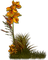 kwiat - безплатен png анимиран GIF