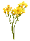 Nina flower - Besplatni animirani GIF animirani GIF
