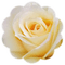 trandafir - darmowe png animowany gif