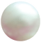 shell seashell  pearls vintage - 免费PNG 动画 GIF