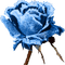 Blue DREAM  70 _ flowers_ - PNG gratuit GIF animé
