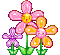 flowers gif - Darmowy animowany GIF animowany gif