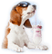 perro con helado - 免费PNG 动画 GIF