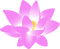 flower - zdarma png animovaný GIF