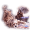 Kaz_Creations Animals Animal Dogs Dog Pup - nemokama png animuotas GIF