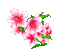 MMarcia gif flores fleurs deco - Gratis geanimeerde GIF geanimeerde GIF