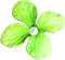 soave deco flowers scrap green - png gratis GIF animado
