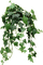 leaves by nataliplus - png grátis Gif Animado