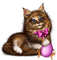 Easter-kitty-egg, Adam64 - GIF animé gratuit