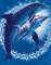dauphins - Free animated GIF Animated GIF